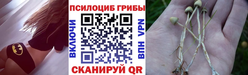Псилоцибиновые грибы прущие грибы  купить наркотики сайты  omg вход  Благовещенск 
