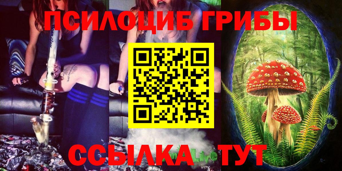 Благовещенск  Псилоцибиновые грибы MAGIC MUSHROOMS  Вход с VPN 